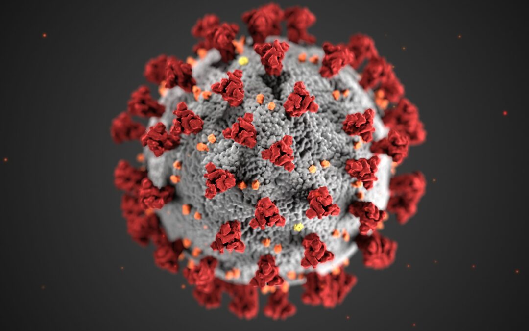 Le coronavirus CoVid-19 – Comment s’en protéger